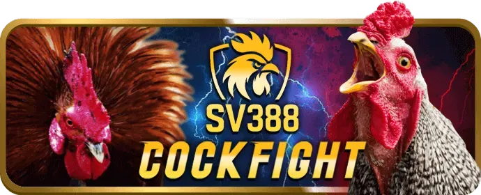 Cá cược Thể Thao Hi888